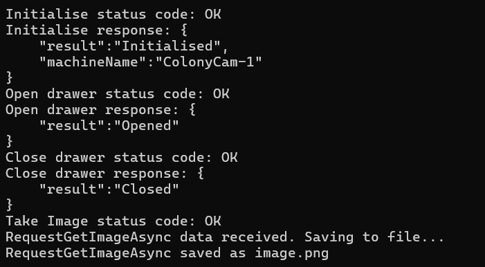 Example Client Console Output